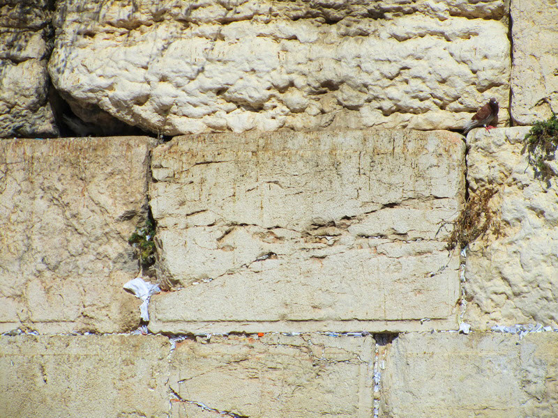 western-wall